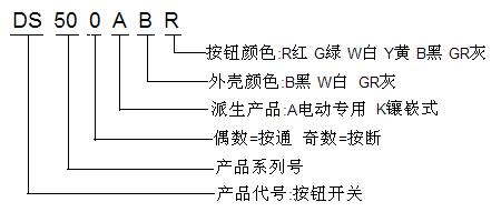 DS500A訂碼.bmp